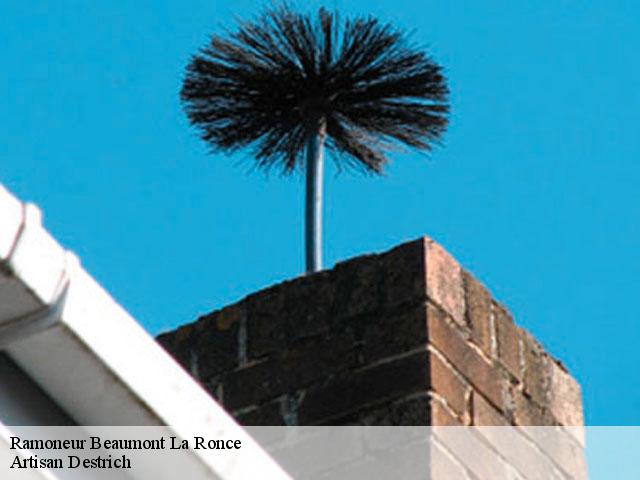 Ramoneur  beaumont-la-ronce-37360 Artisan Destrich