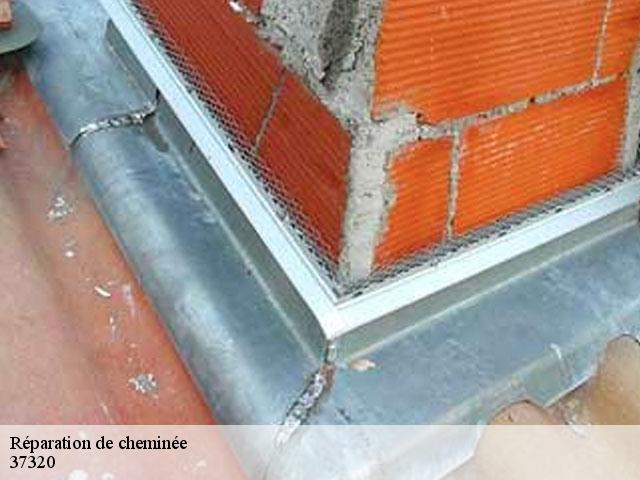 Réparation de cheminée 37320